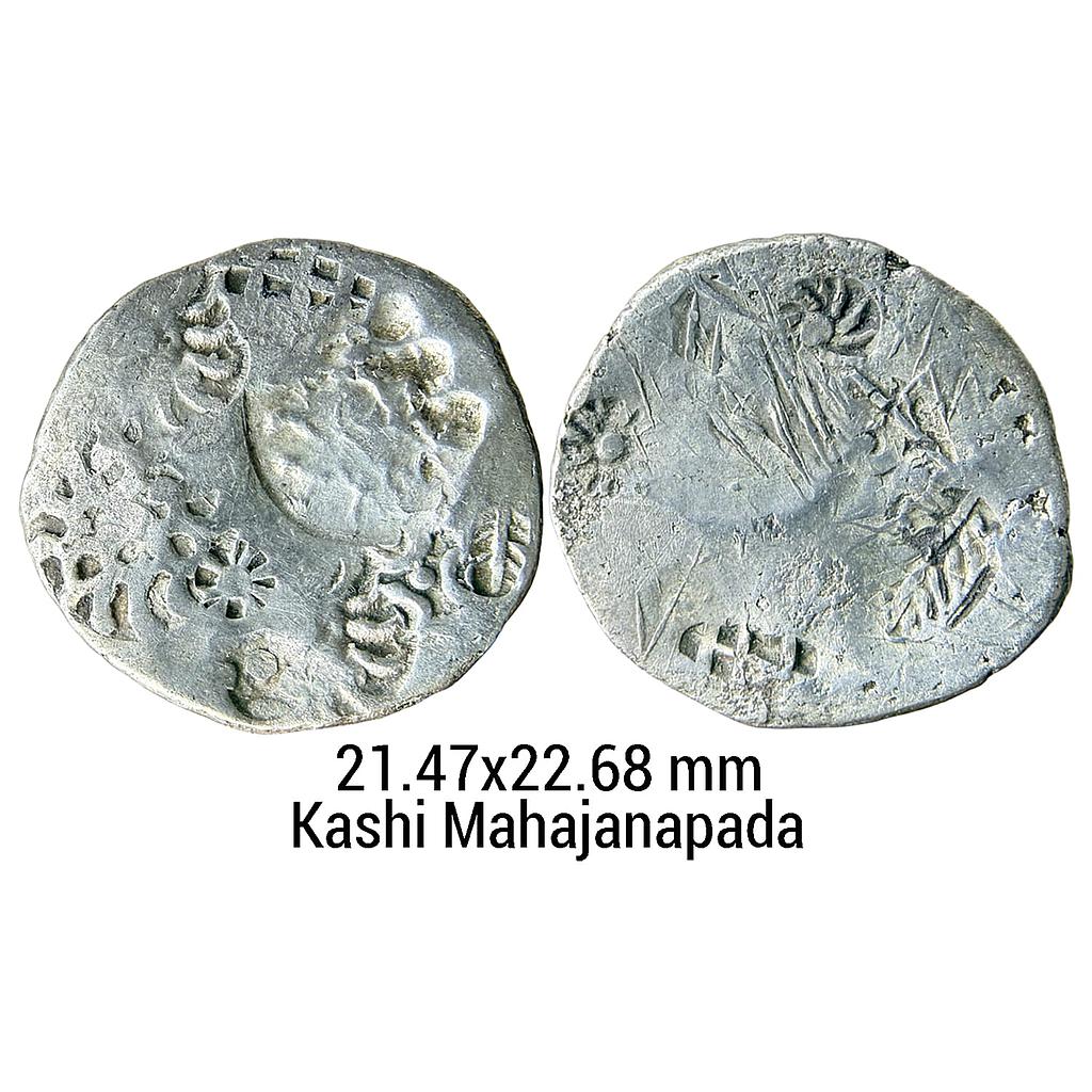 Ancient Archaic Punch Marked Coinage Kashi Mahajanapada from middle Ganga valley Silver Vimshatika